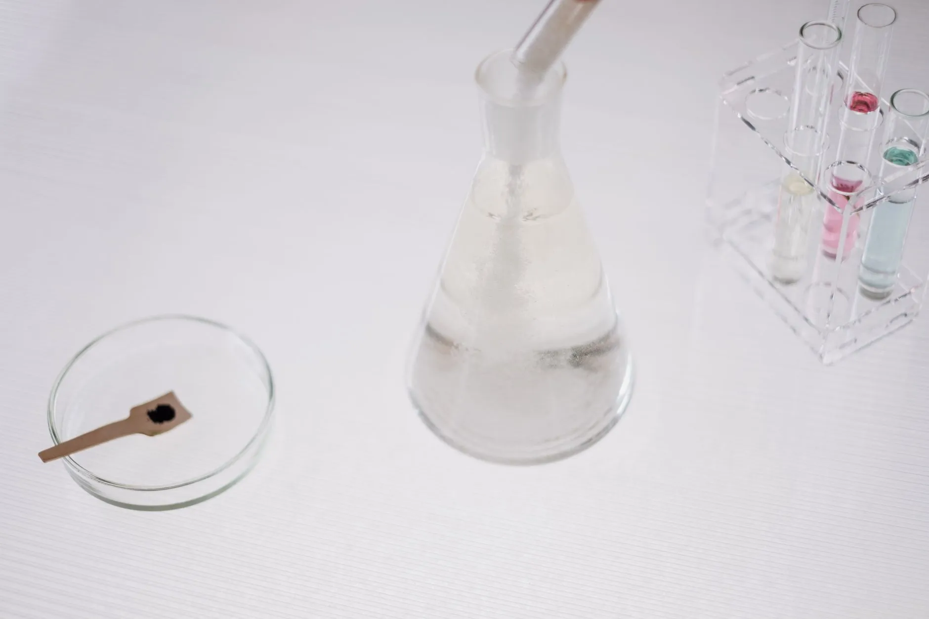 食品发酵工业用生物酶制剂的质量控制关键指标分析正文配图 1