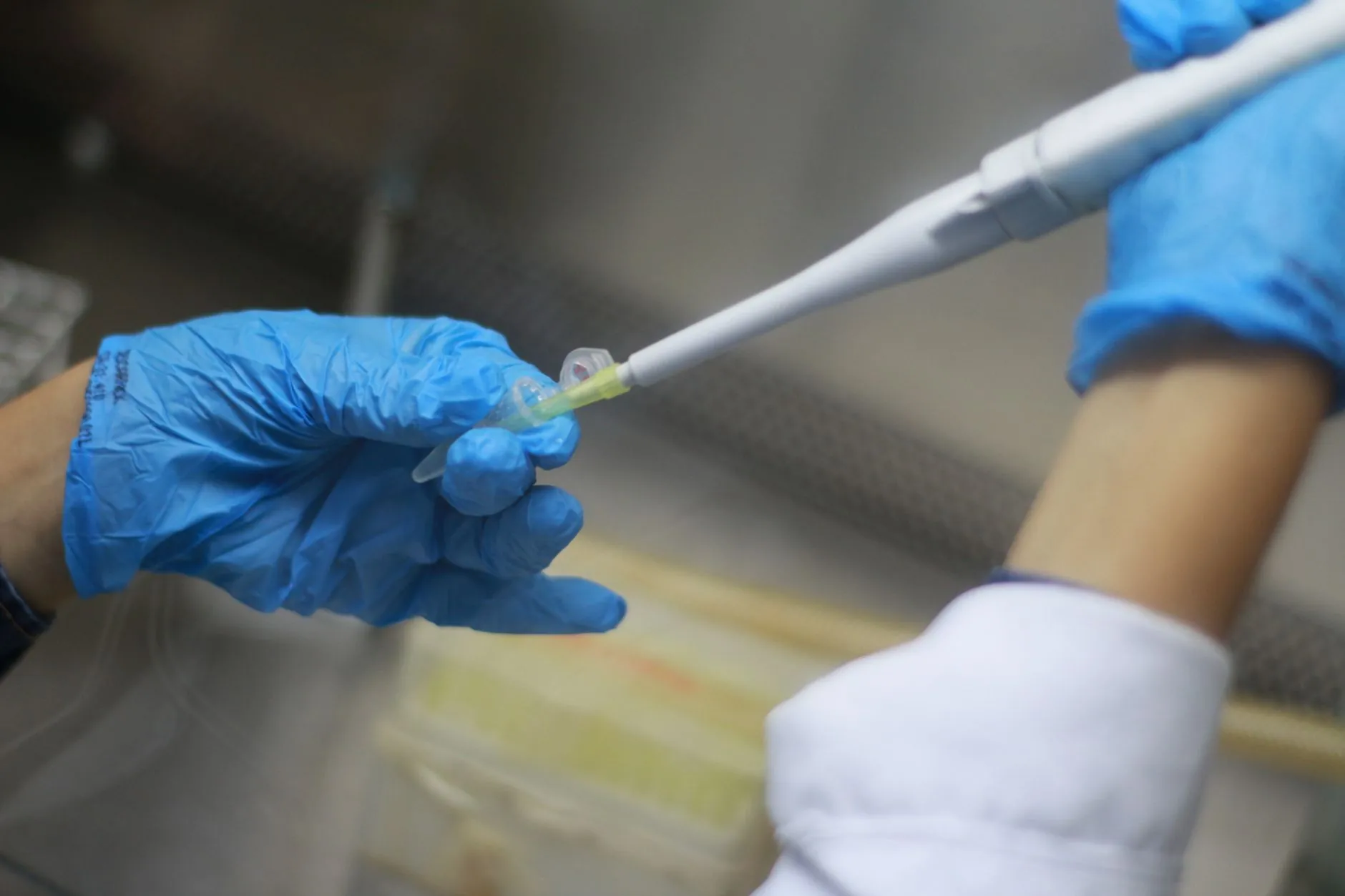 食品发酵用生物酶制剂选型要点及云蜂生物产品适配方案