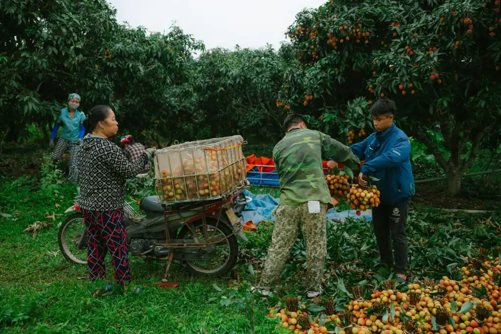食品发酵工业生物酶制剂应用技术要点与选型指南