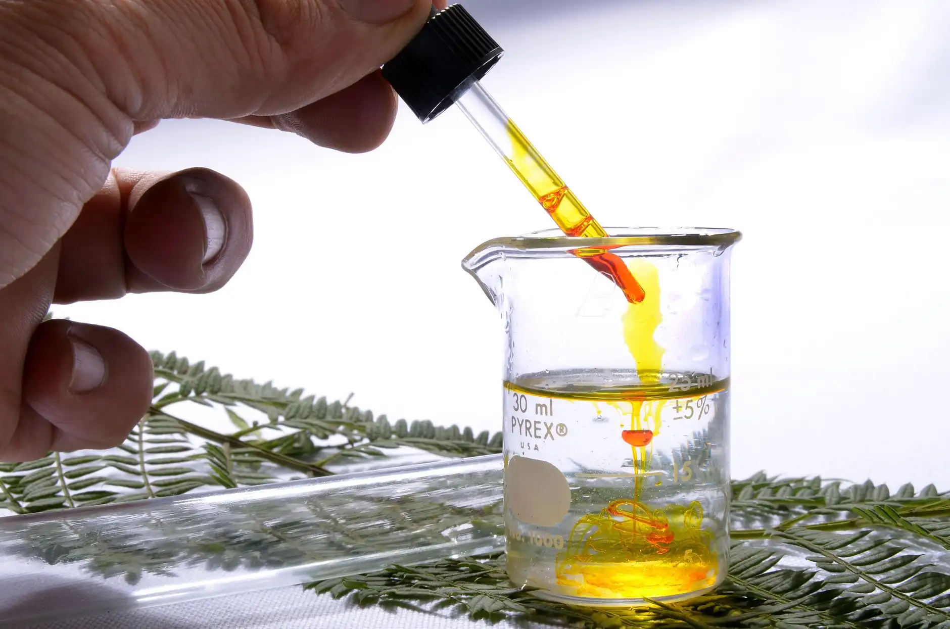 食品发酵工业用生物酶制剂纯度检测方法与质量控制要点正文配图 1