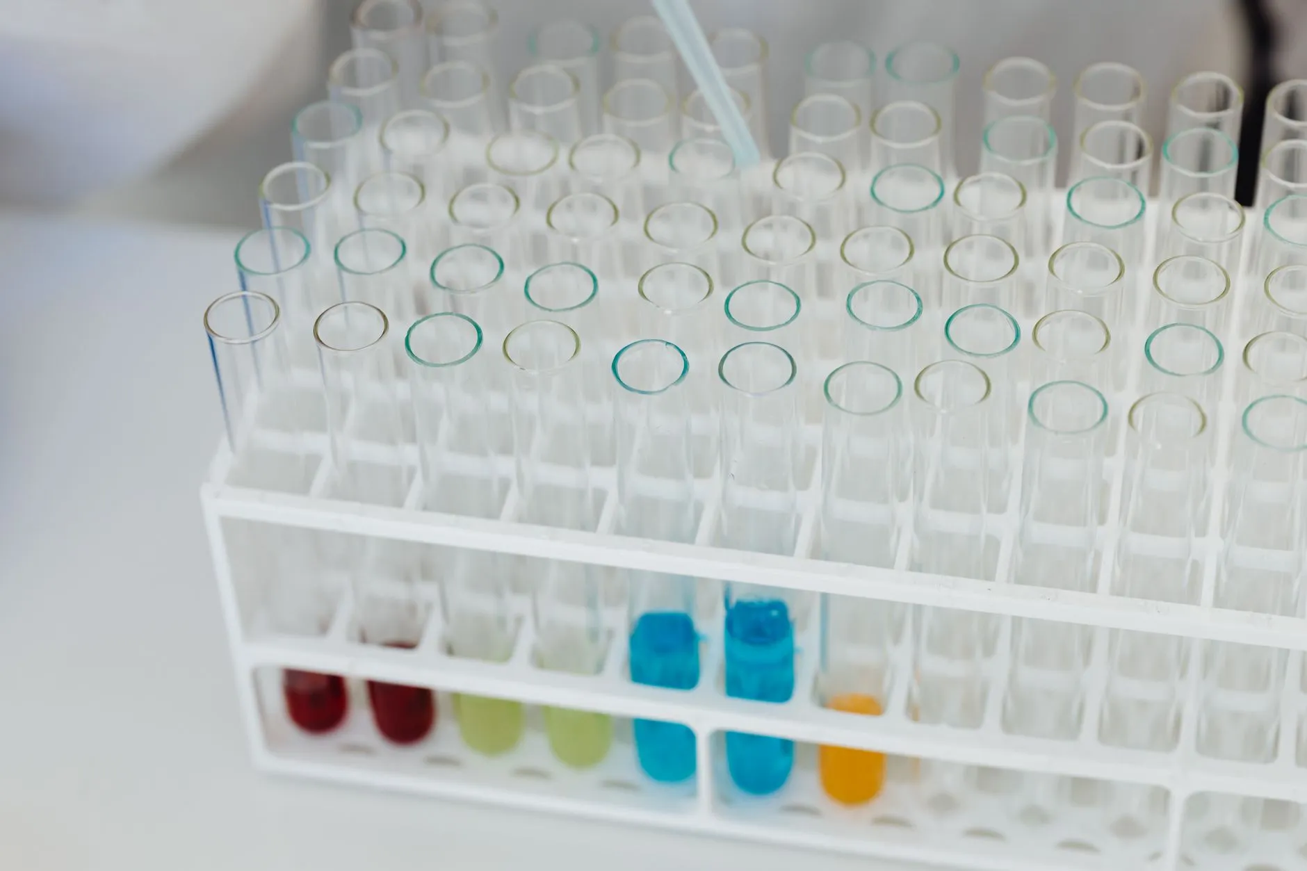 食品发酵用生物酶制剂质量管控关键指标与检测方法解析正文配图 1