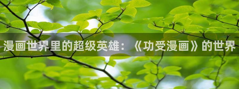 漫蛙上