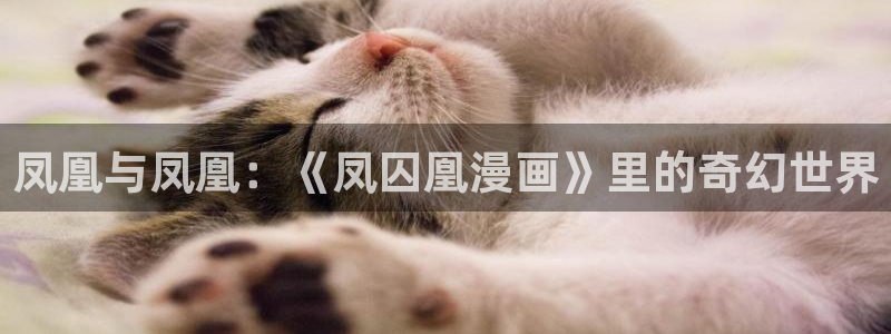 漫蛙2manwa2在线观看