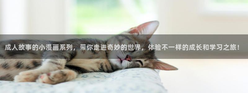 漫蛙正版官网下载