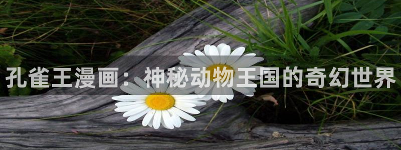 漫蛙manwa1.1.9下载